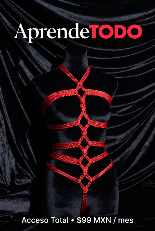 Aprende Todo